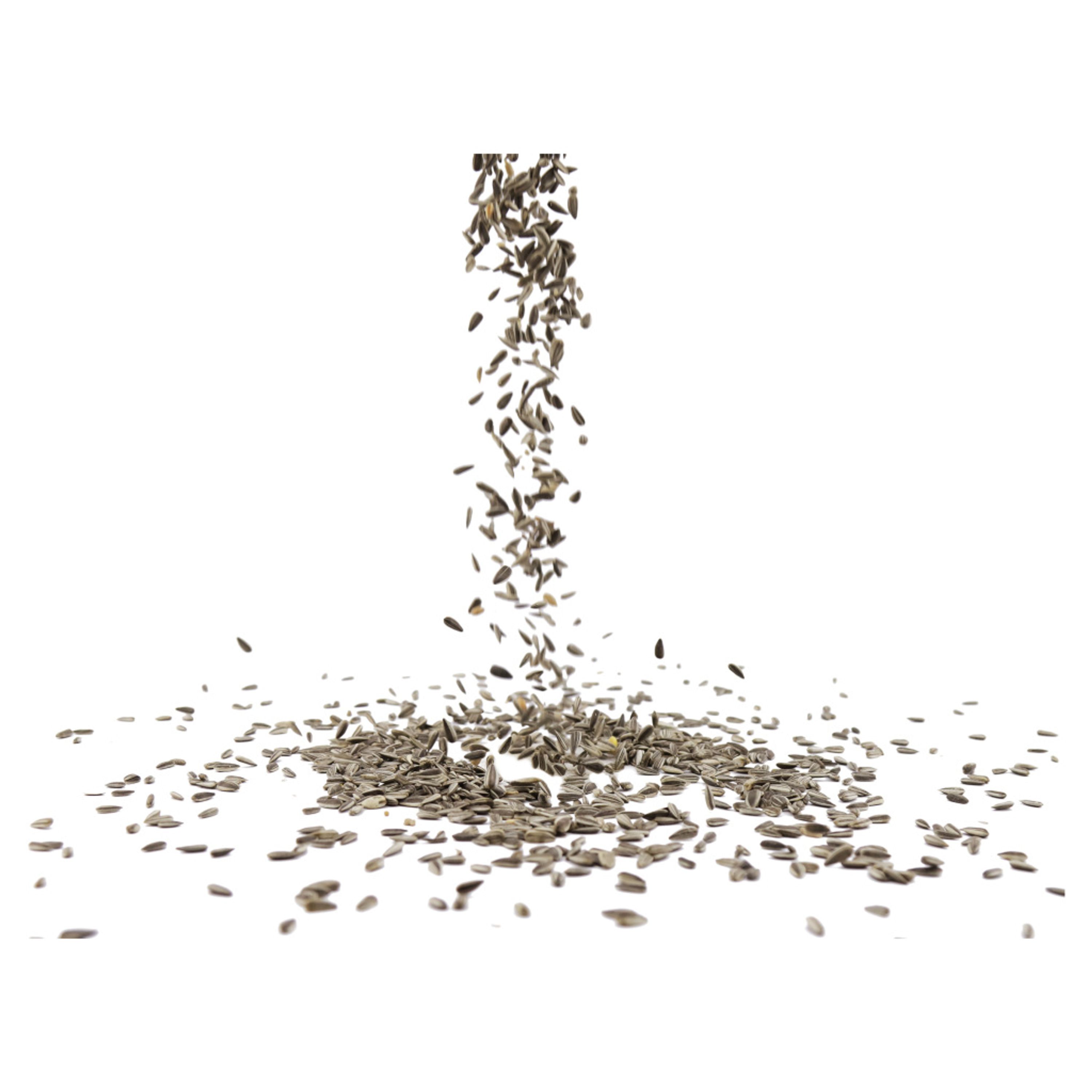 Sonnenblumenkerne gestreift 2,5kg | Vogelfutter | CJ Wildlife